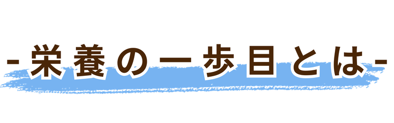 栄養の一歩目とは